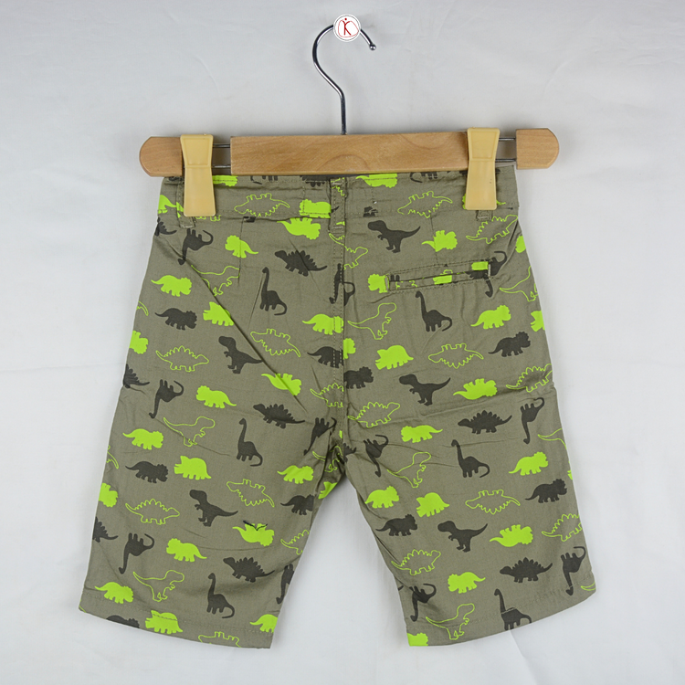 Green Dino Printed