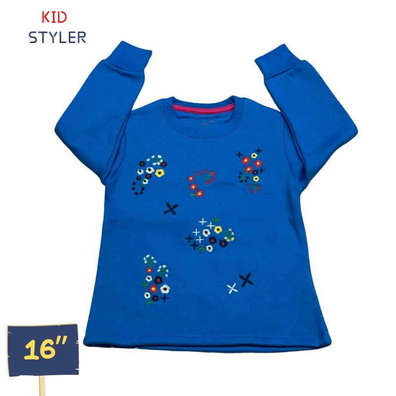 Ferozi embroidered top