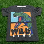 Grey Dinosaur Wild King