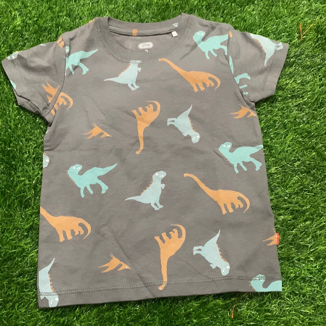 Grey Dinosaur Printed Shirt