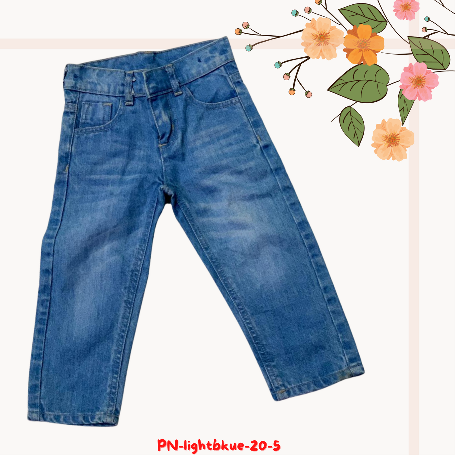 Light Blue shaded Pant