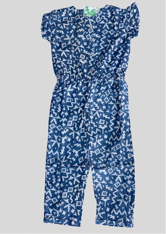 Blue Printed full Jumpsuit